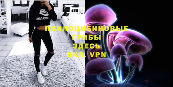 шишки Абдулино