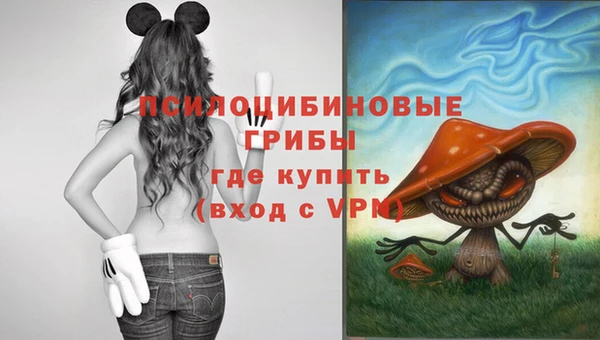 спайс Абинск