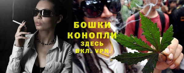 шишки Абдулино